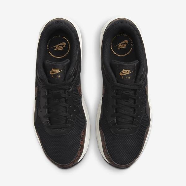 Nike Air Max SC Sneakers Damen Schwarz Metal Gold Braun | NK657MJQ